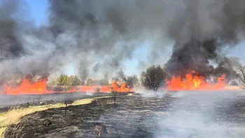 Incendiu uriaș în Parcul Văcărești din Capitală. Pompierii intervin