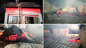 Incendiu uriaș în Arad. Mii de păsări au murit după ce flăcările au cuprins o crescătoria de pui