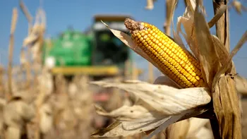 Rusia exportă în UE masiv aceste alimente: ce legătură are portul din Constanța