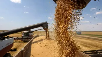 Cerealele au luat-o pe urma facturilor: prețuri fără precedent. Peste noapte, piețele de mărfuri au sărit în aer