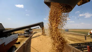 Avertismentul îngrijorător al ONU: criza alimentară, un real pericol pentru omenire