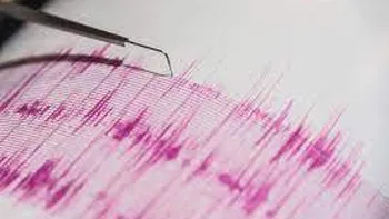 Cutremur în România. Seismul s-a resimțit și în București
