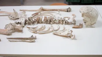 Întregul ADN al victimelor de la Pompei, de acum 2.000 de ani, secvențiat de oamenii de știință: ce au descoperit