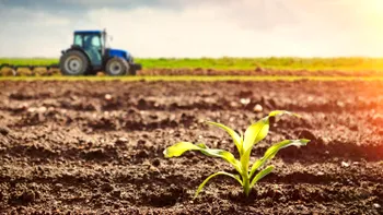 România, săracă țară bogată: exportăm materii prime și cumpărăm produse finite de la alții, la prețuri mult mai mari