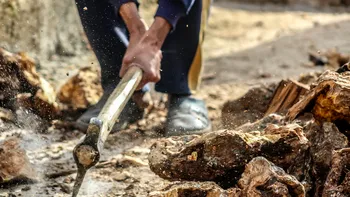 Străinii vin să ia joburile românilor: dacă noi nu le vrem, ei și le doresc din suflet