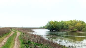 Drumul secret de la Marea Neagră la Delta Dunării: creat din piatră, e știut doar de “bătrânii locului”