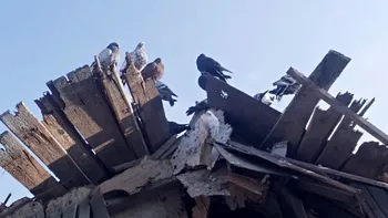 Lipsă catastrofală de alimente în Mariupol. Primarul: „Locuitorii sunt obligați să vâneze porumbei pentru a mânca”