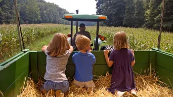 Cum convingi copiii români să studieze agricultură: ”Roșiile și laptele nu vin de pe Facebook”