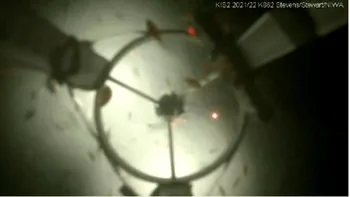 Creaturi descoperite la o adâncime de 500 de metri sub un ghețar din Antarctica