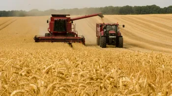 România, grânarul Europei ca-n vremurile bune: datorită noua, multe țări nu fac foamea acum