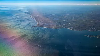 Cercetătorii au găsit în sfârșit sursa fenomenului mortal din Oceanul Pacific: cât de departe a ajuns încălzirea globală