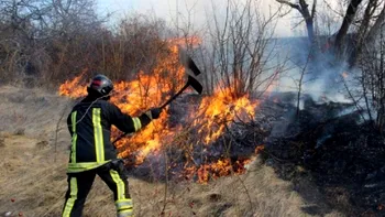 Incendiu de vegetație la doi pași de București. Arde o suprafață uriașă