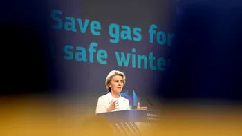 Încă o țară europeană respinge planul de reducere a consumului de gaze: „Nu vedem necesitatea”