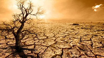 Preşedintele Societăţii Meteorologice Române anunță „vremuri grele: Secetele vor fi cumplite”