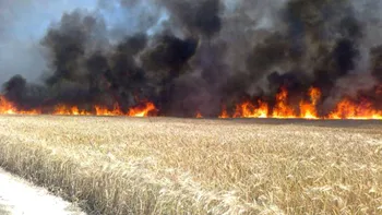 Incendiu violent în Galați. Aproape 100 de hectare de teren sunt afectate