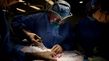 Două persoane în moarte cerebrală au primit transplanturi de inimă de porc: cum au decurs operațiile