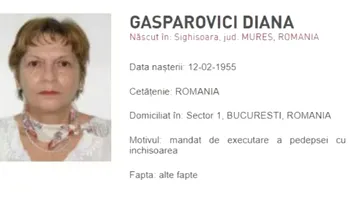 Complicea lui Adrian Năstase în „Trofeul Calității”, care a stat ascunsă 10 ani, așteaptă decizia definitivă a CAB. Diana Gasparovici  riscă 5 ani de închisoare