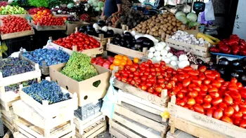 Rusia interzice importurile de produse agricole din Republica Moldova. Reacția Guvernului de la Chișinău