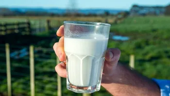 S-ar putea să bei lapte sintetic în curând: cum se produce, fără animale