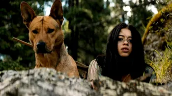 Coco, cățelușa din Prey, adoptată de la un adăpost: mesajul emoționant publicat de asociația care a găzduit-o înainte să devină vedetă
