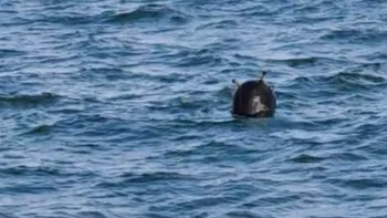 Mină de război, descoperită în Marea Neagră. Nava Forțelor Navale Române a lovit mina. Motoarele au fost avariate
