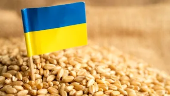 Vladimir Putin: „Aproape toate cerealele ucraine ajung în țările UE bogate”. Liderul rus sugerează „limitarea exporturilor”