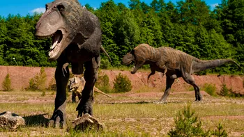 Descoperirea care adâncește și mai mult misterul din jurul dinozaurilor: cum se schimbă percepția