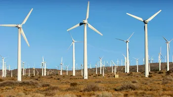 De unde are România cea mai multă energie electrică: rolul pe care-l joacă eolienele