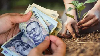 Afacerea de viitor cu care românii pot da lovitura. Fructele care se plantează usor, cresc repede și aduc bani buni