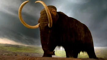 CIA se joacă de-a Jurassic Park și vrea să resusciteze mamutul lânos: cum explică asta