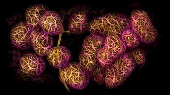 FOTO Nikon Small World Photomicrography Competition 2022 și-a desemnat câștigătorii: mâna unui embrion de gecko, vedeta absolută a competiției