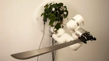„Răscoala cyborg-ului cu frunze”: plantele pot controla roboți, cum este posibil