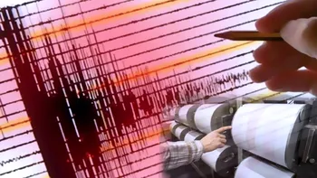 Alertă de tsunami după un cutremur de 7 grade în Oceanul Pacific. Pene de curent și clădiri avariate