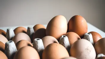 Lidl, Tesco si alte magazine au început să raționalizeze ouăle înaintea sărbătorilor. Decizia producătorilor după epidemia de gripă aviară și costurile de producție din Marea Britanie