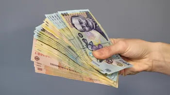 Statul dă bani patronilor, doar să-i convingă să facă angajări: mii de lei pe lună vor intra în conturile firmelor