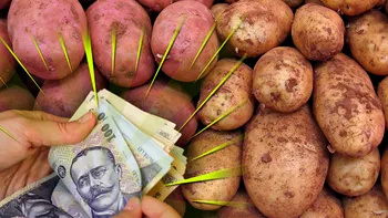 Inflația în România, peste 25% la alimente: cum sunt îngropați românii în costurile fabuloase ale vieții