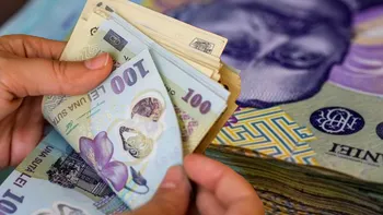 Băncile și-au atins scopul: românii duc bani cu sacii să-i depună în depozite la termen
