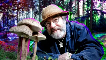 VIDEO Fantastic Fungi, uimitorul documentar despre viața ciupercilor, filmat în 15 ani: unde îl poți vedea chiar acum