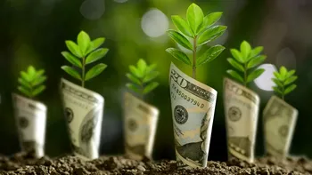Minciuna ascunsă în protejarea mediului și ”emisii zero”: fenomenul greenwashing, dăunător pentru mediu