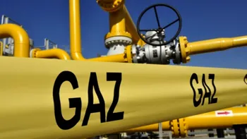 Plafonarea prețului gazelor, pe modelul lemnelor de foc? Dacă vrei să rămâi fără un bun, atunci pune-i un plafon de preț, urmează haos pe piață