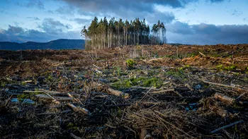 Românii și criza climatică: așa îți dai seama că nu ne pasă de lucrurile cu adevărat importante