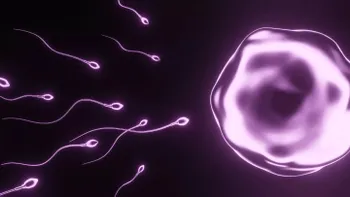 Numărul de spermatozoizi a scăzut cu aproape 50% la bărbații de pe tot globul, în ultimele decenii: ce înseamnă asta pentru natalitate