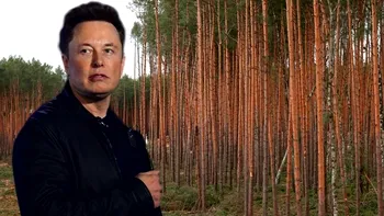 Mitul falsului salvator: Elon Musk face mașini electrice la Tesla, dar taie hectare de pădure pentru fabrici