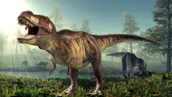 Tiranozaurul recent descoperit ar putea fi veriga lipsă din strămoșii lui T. Rex: ce spun oamenii de știință