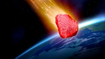 Știai că poți prăji o bucată de carne, aruncând-o din spațiu? Experimentul neobișnuit făcut de cercetători