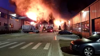 Incendiu de proporții într-un parc din Cluj-Napoca