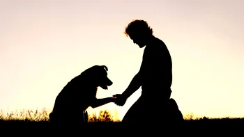 Suferința pricinuită de moartea unui animal de companie nu ar trebui ignorată: cât de mult ne afectează, de fapt
