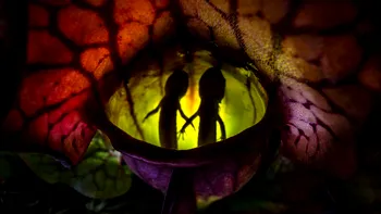 Cea mai frumoasă fotografie macro a fost premiată: povestea morbidă din spatele acesteia