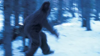 Adevărul despre Bigfoot: studiul care încearcă să facă lumină în acest mister