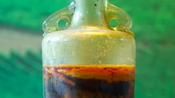 Cea mai veche sticlă de vin din lume: istoria sa, unde se află